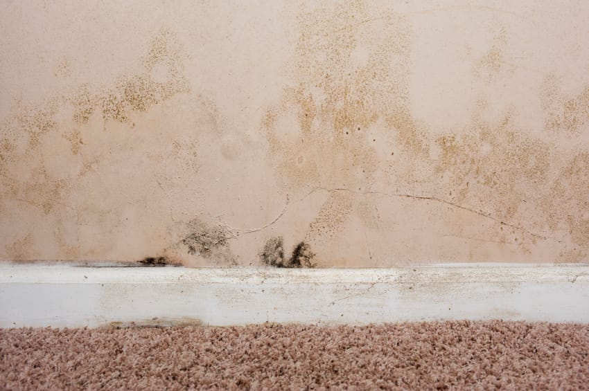 damp proofing - one solution wales covering cardiff, newport and south east wales