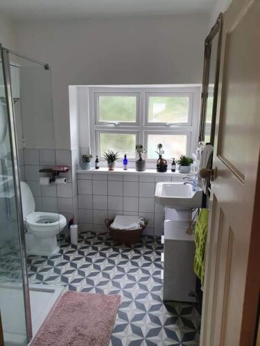 Bathroom-1d